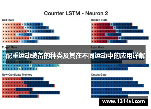 配重运动装备的种类及其在不同运动中的应用详解